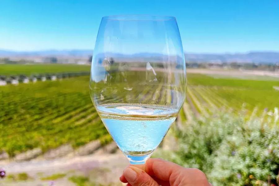 Ein Glas Wein, das in einem Weinberg in Sonoma hochgehalten wird.