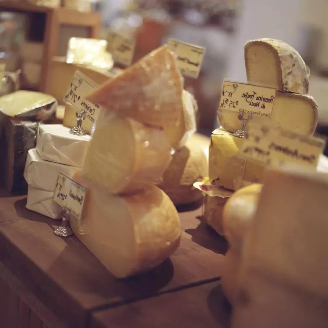 Various cheeses at gourmet counter