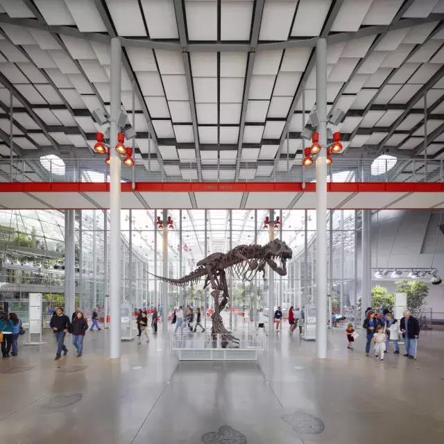 カリフォルニア科学アカデミーの恐竜